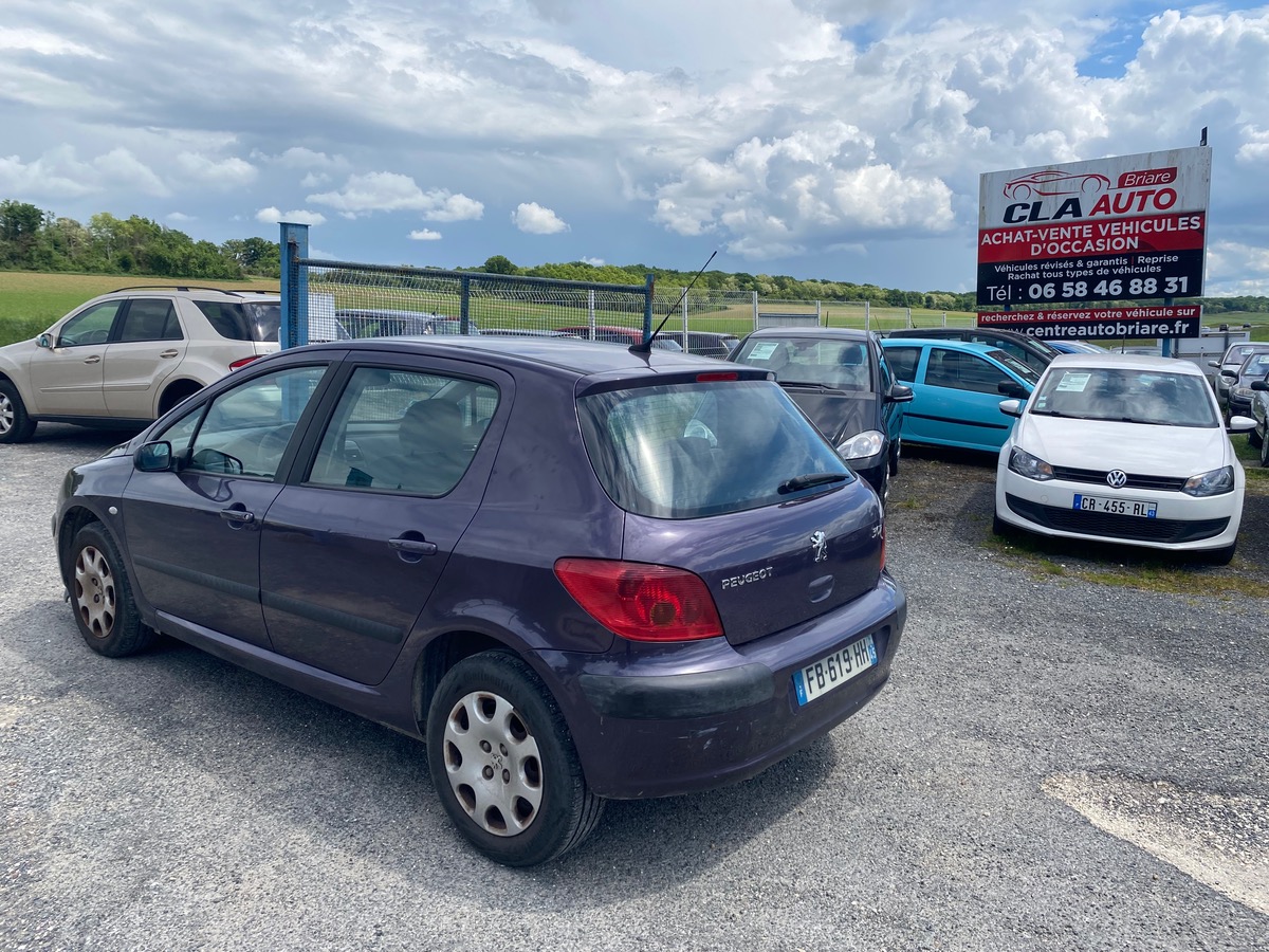 Peugeot 307 1.6i 110cv 99000km