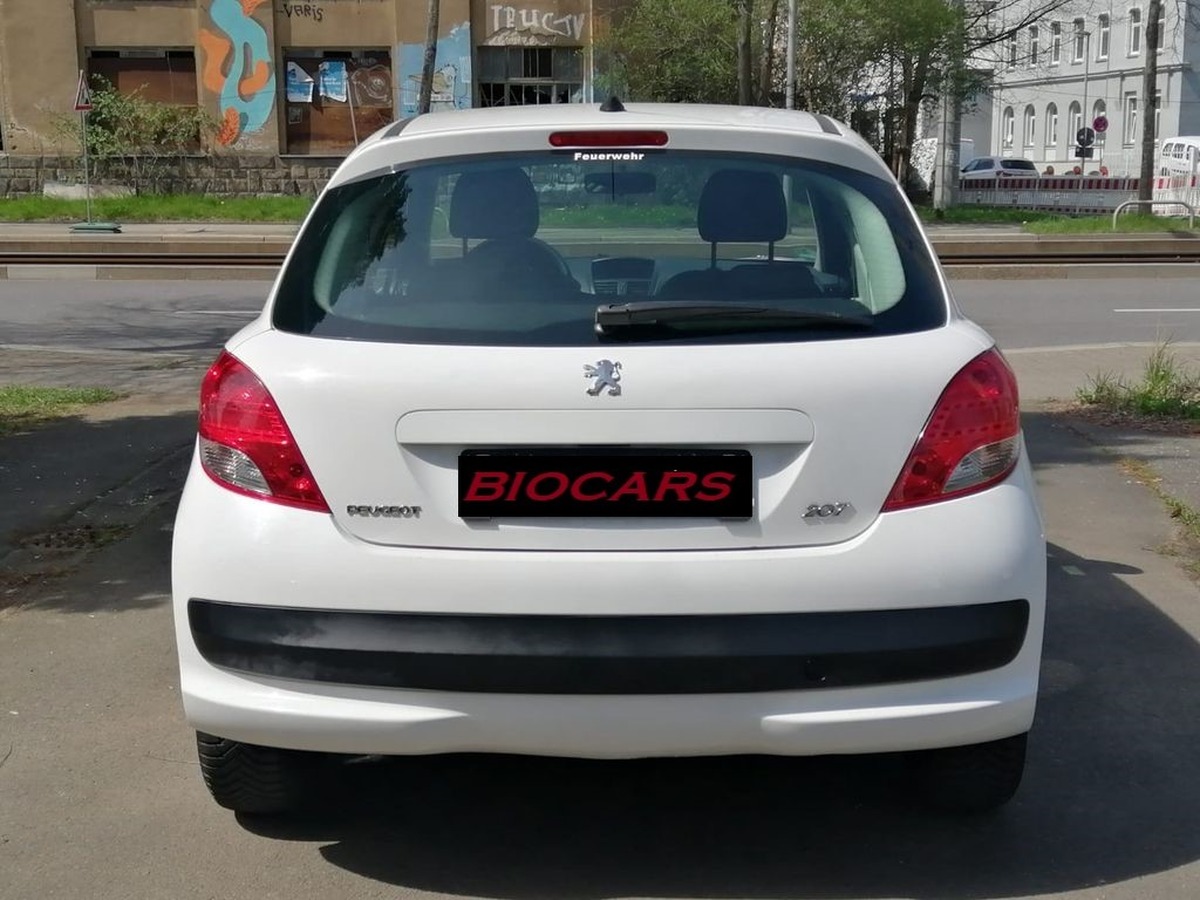 Peugeot 207 1.4  "Filou"