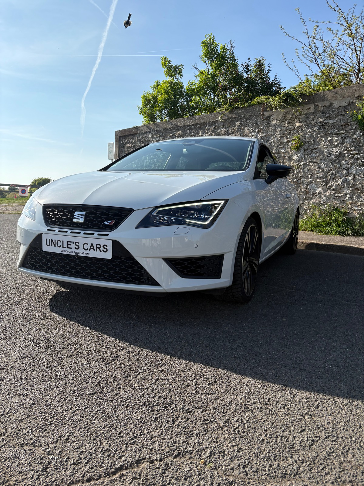 Seat Leon TSI cupra 290 DSG
