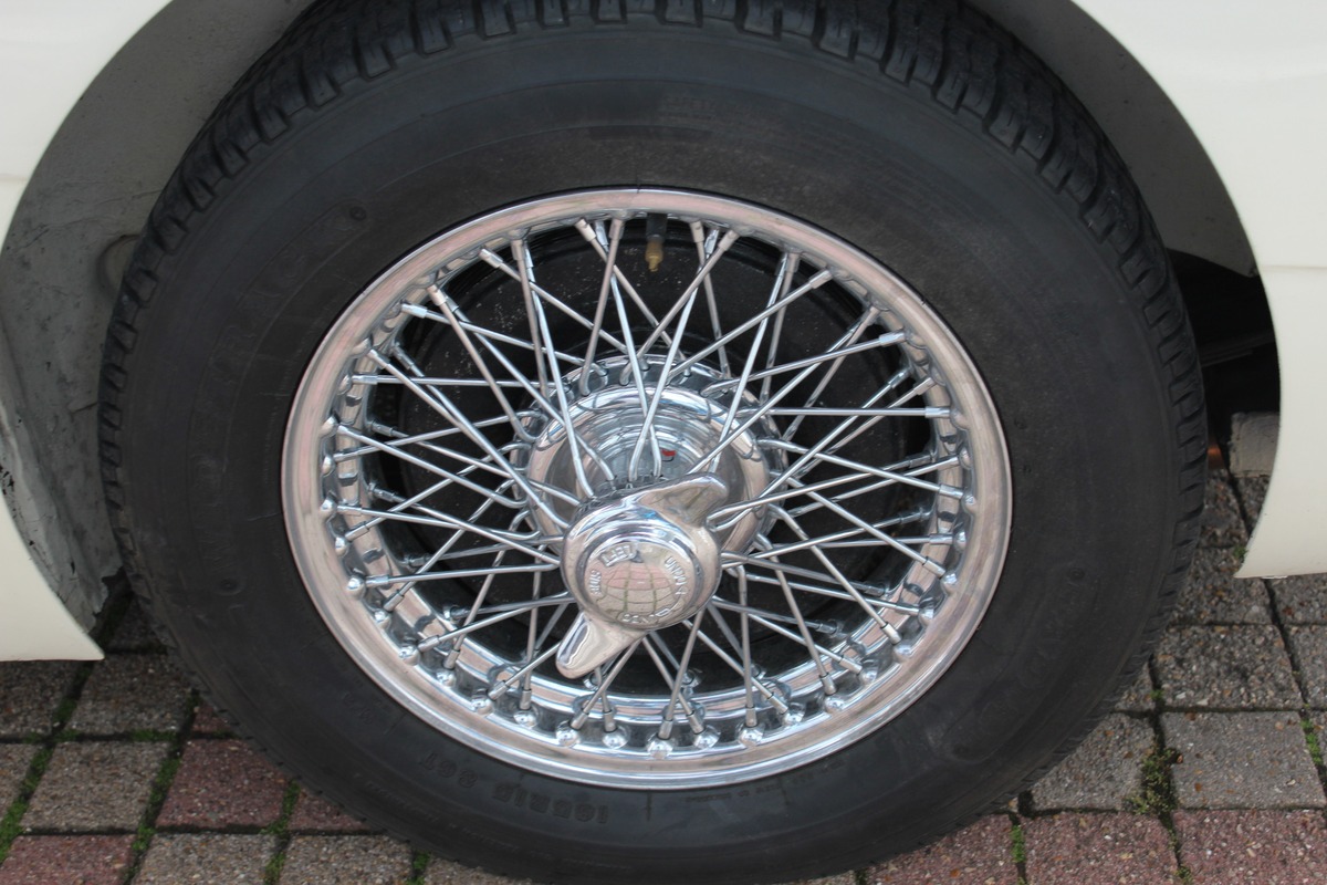 Austin Healey 3000 MK III BJ8 Collection  148