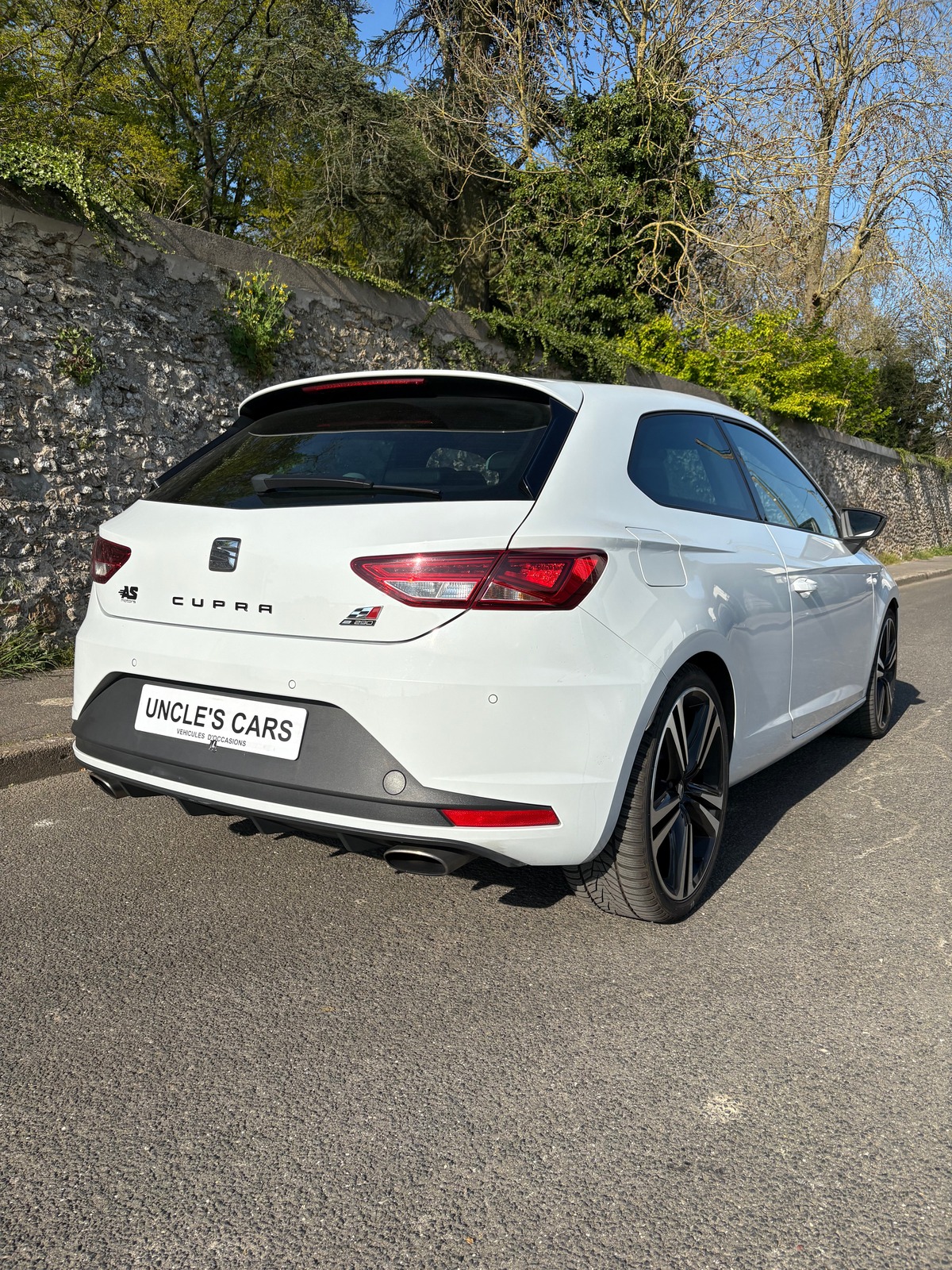 Seat Leon TSI cupra 290 DSG