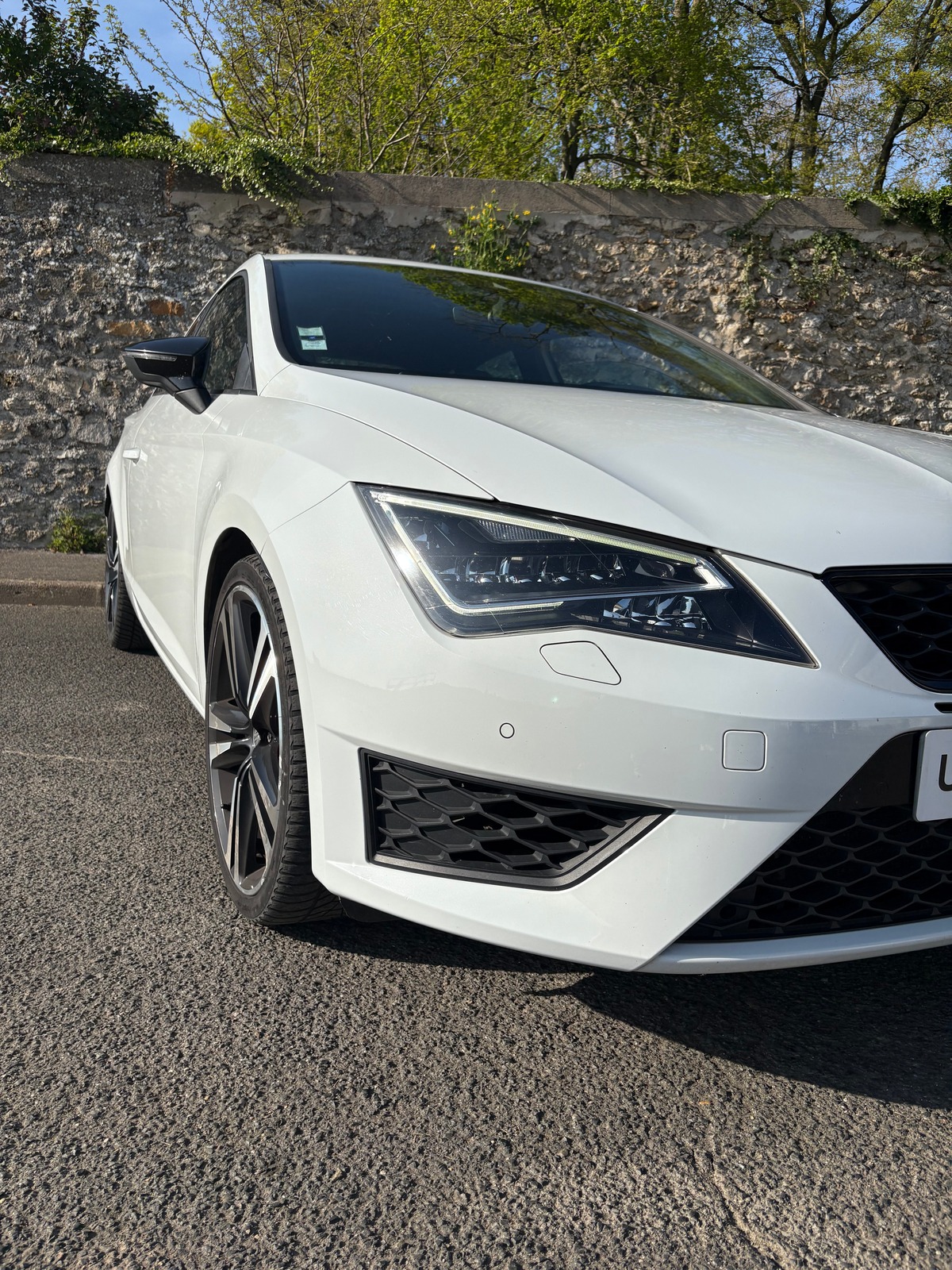 Seat Leon TSI cupra 290 DSG