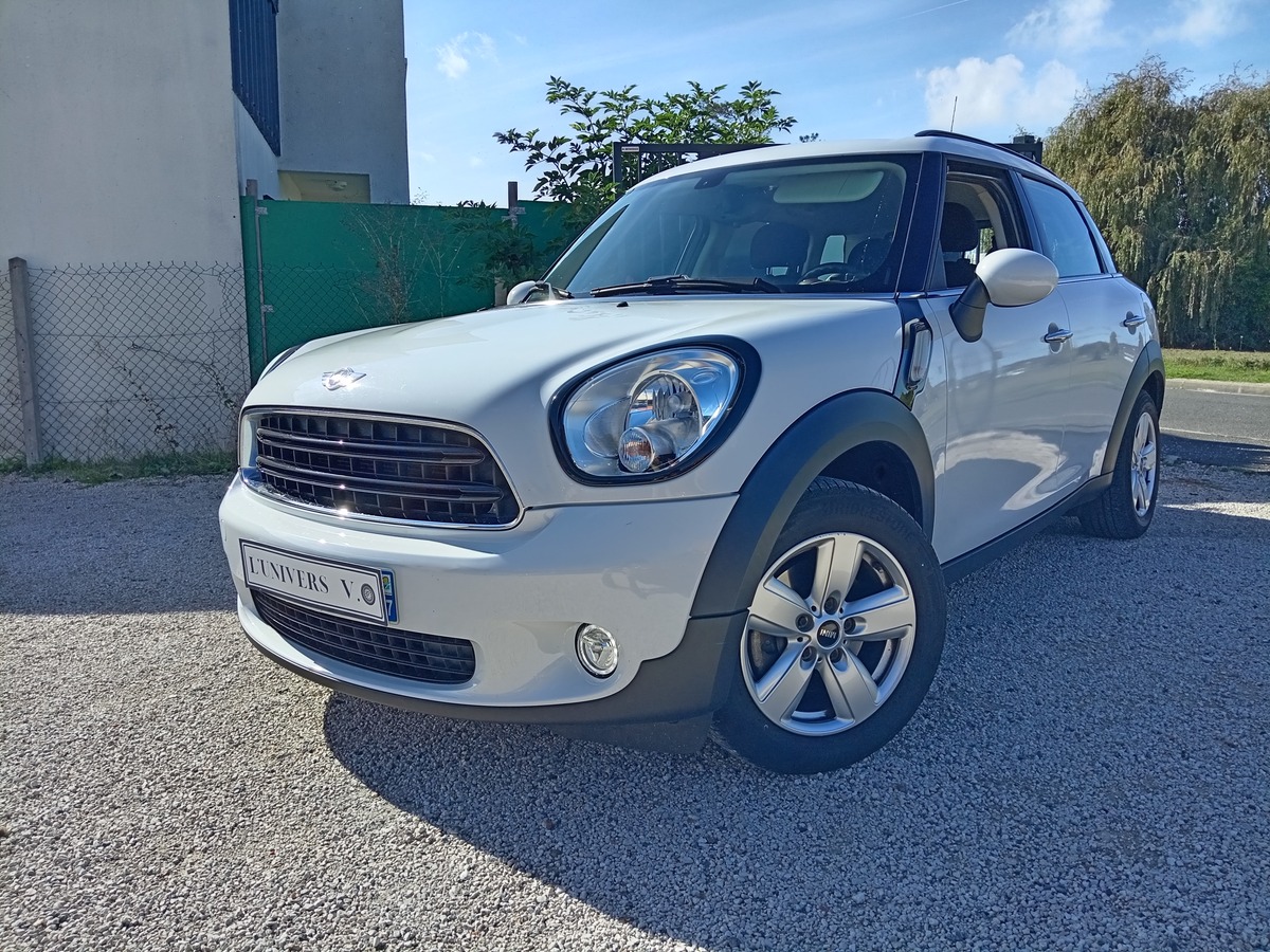 Mini Mini country man