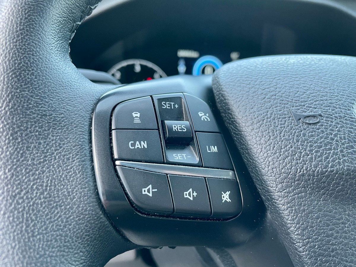 Ford Custom 320 L2H1 2.0 EcoBlue 170 BVA6a