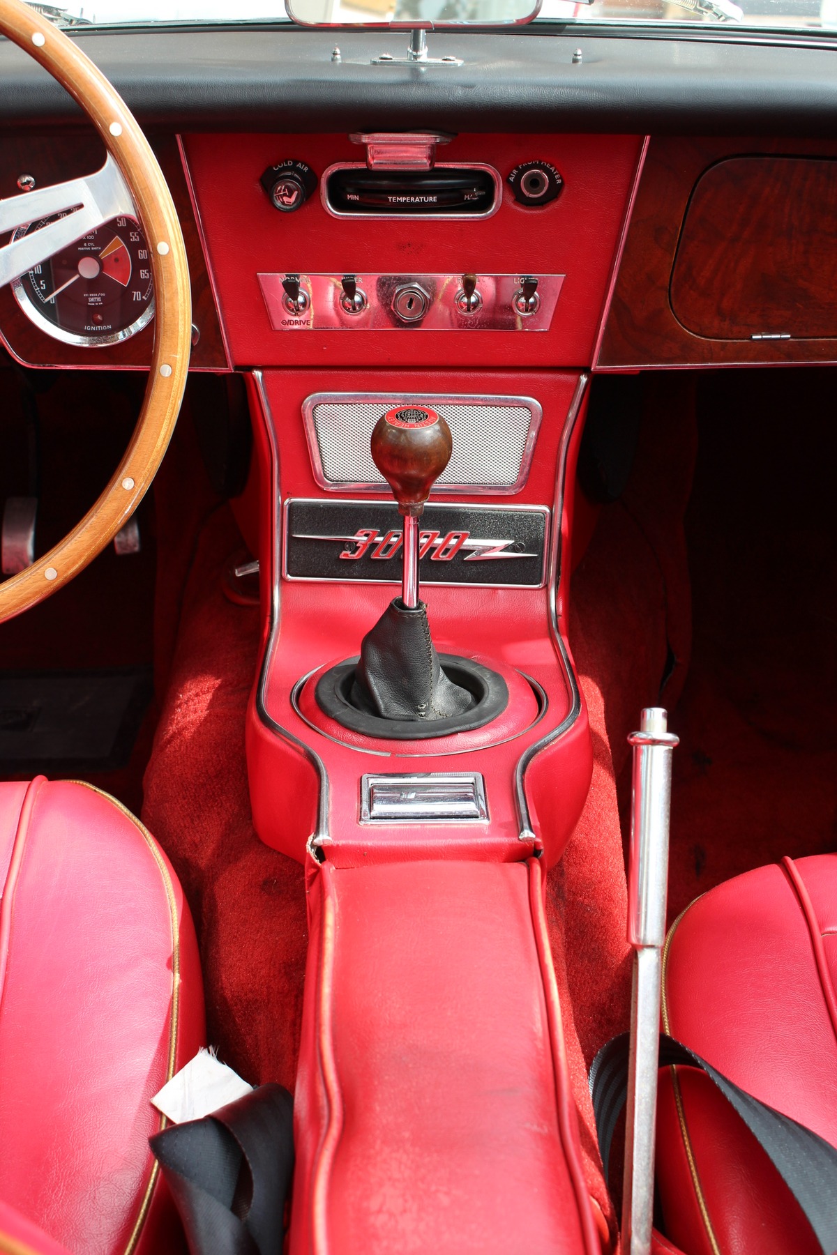 Austin Healey 3000 MK III BJ8 Collection  148
