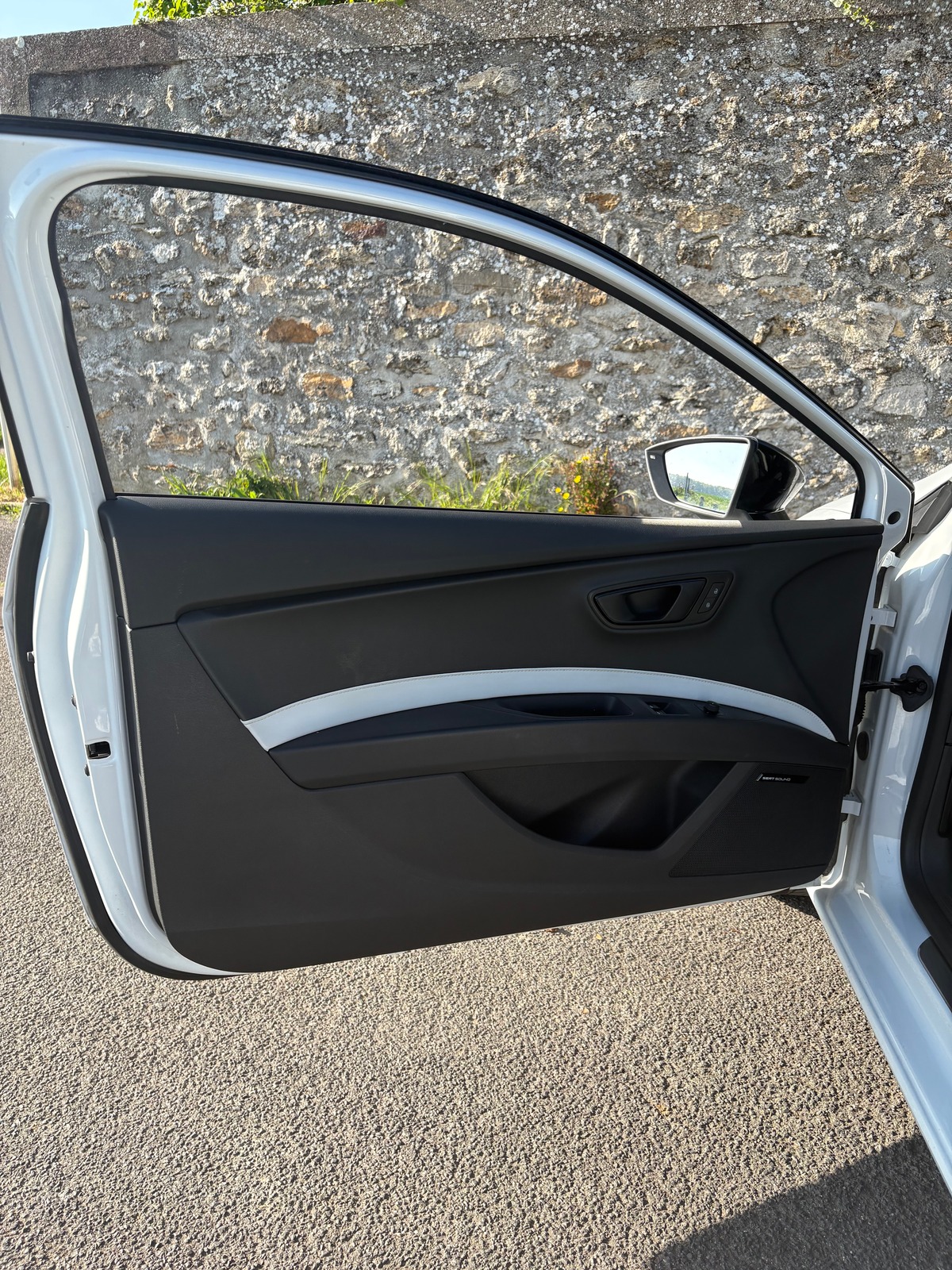 Seat Leon TSI cupra 290 DSG