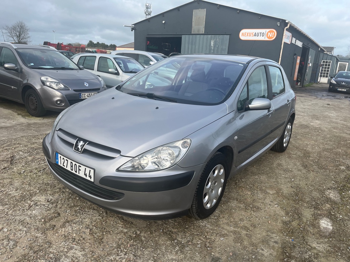 Peugeot 307 1.6I 110 CH 113251KM