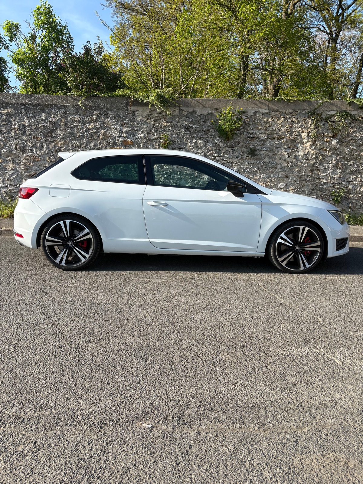 Seat Leon TSI cupra 290 DSG