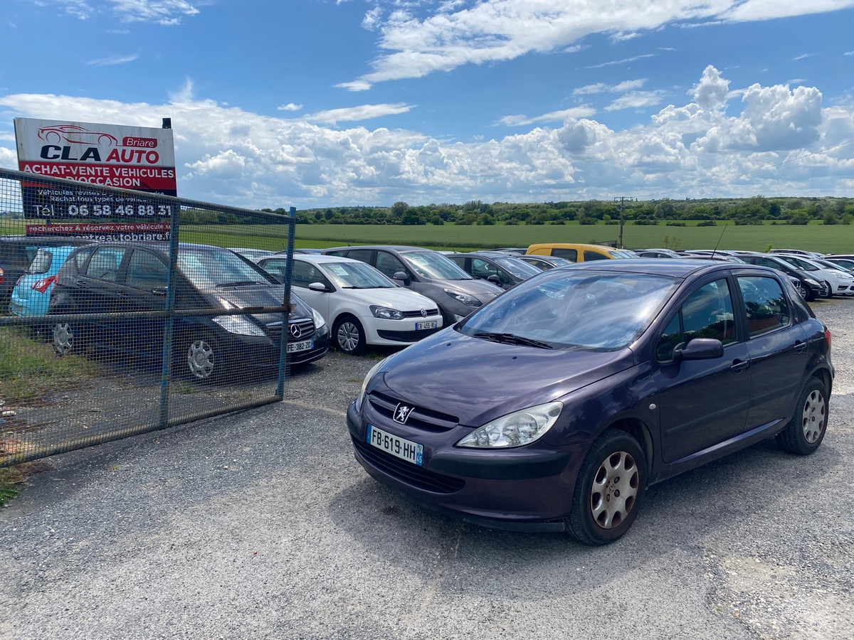 Peugeot 307 1.6i 110cv 99000km