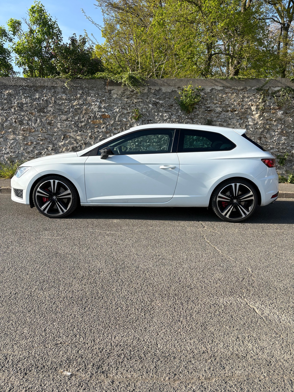 Seat Leon TSI cupra 290 DSG
