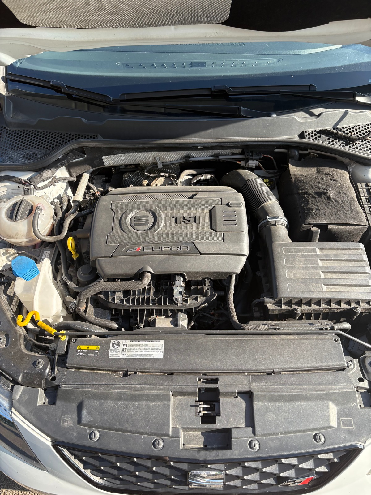 Seat Leon TSI cupra 290 DSG