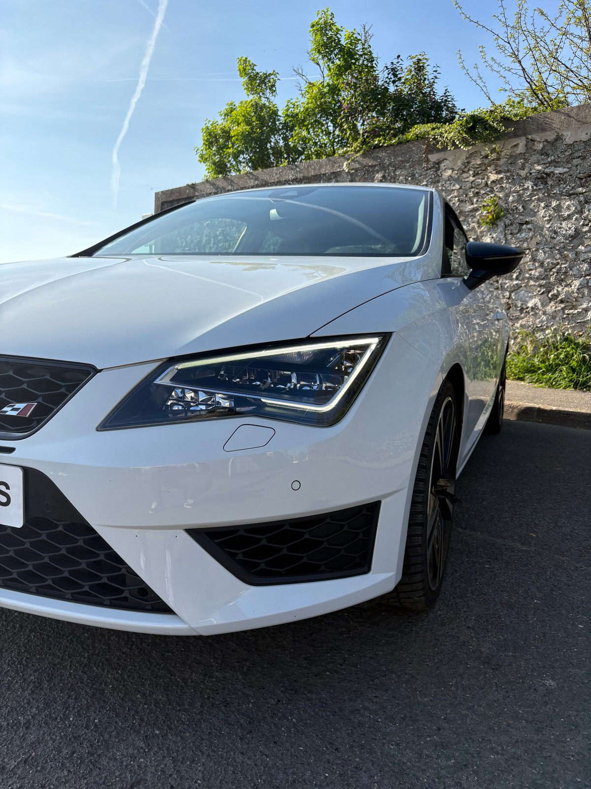 Seat Leon TSI cupra 290 DSG