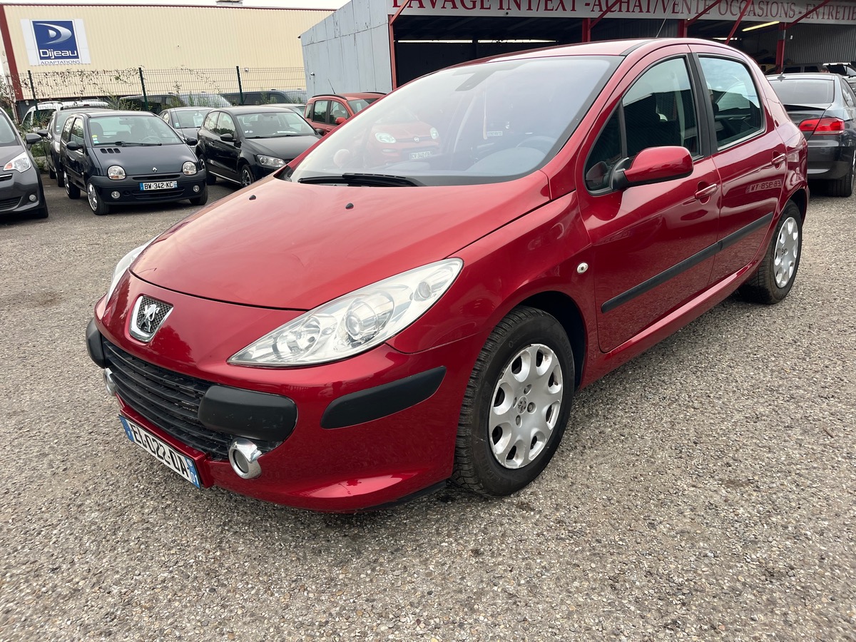 Peugeot 307 xt/xs