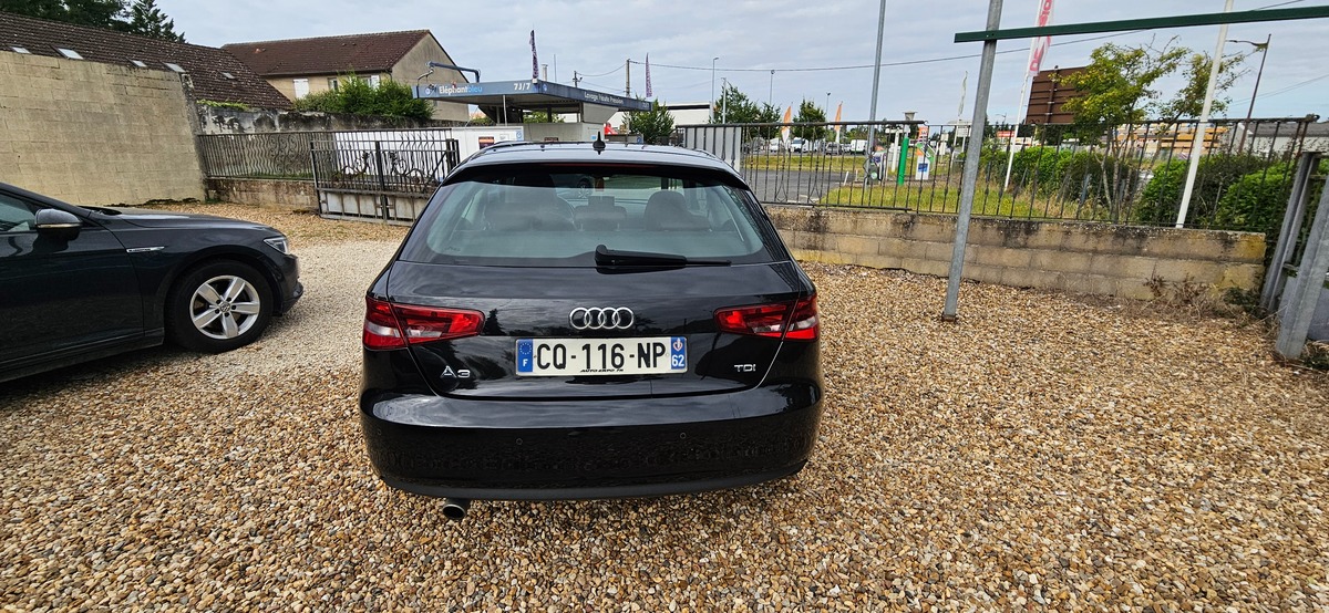 Audi A3 III 1.6 TDI 105  AMBITION - Diesel - Boîte manuelle CLIM GPS