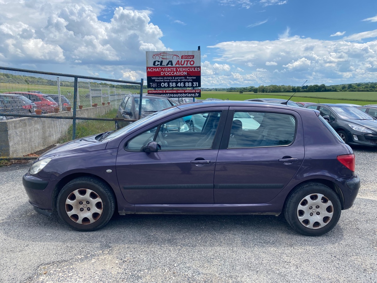 Peugeot 307 1.6i 110cv 99000km