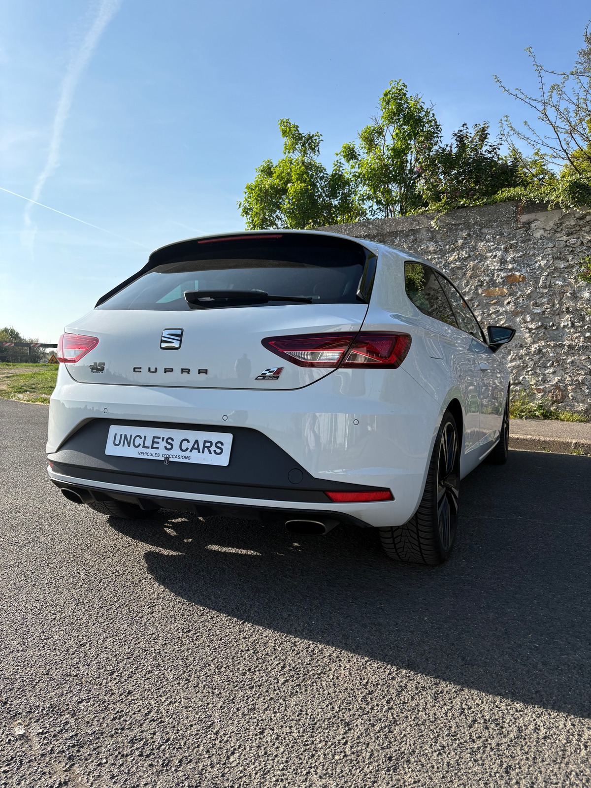 Seat Leon TSI cupra 290 DSG