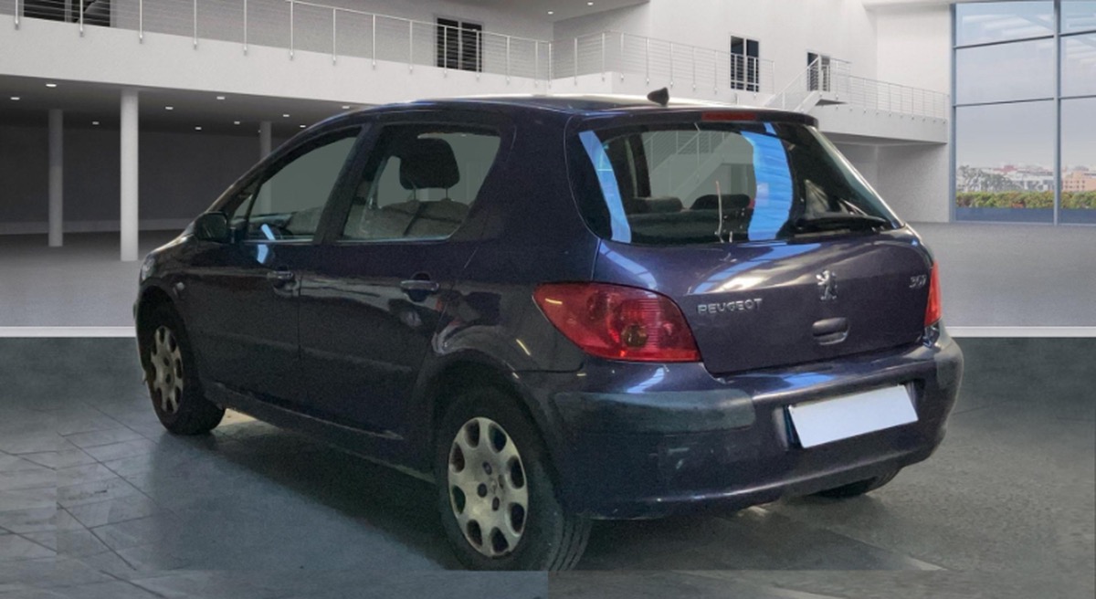 Peugeot 307 xr/xs