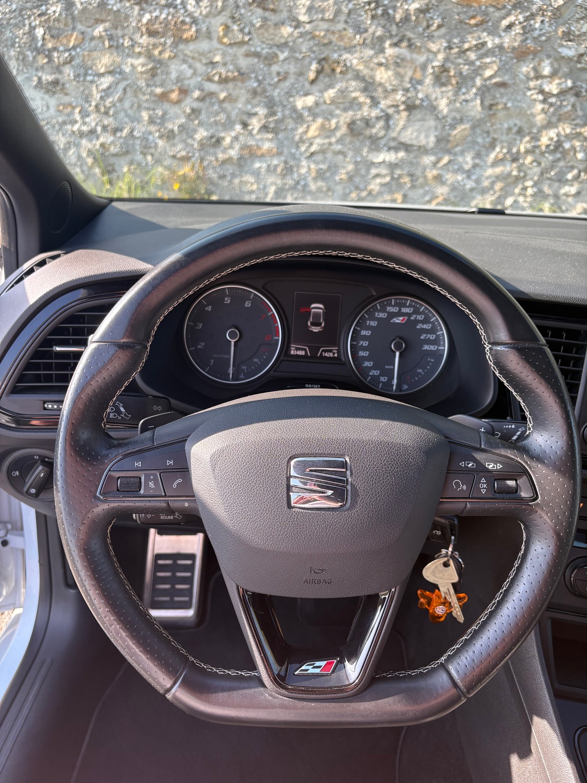 Seat Leon TSI cupra 290 DSG