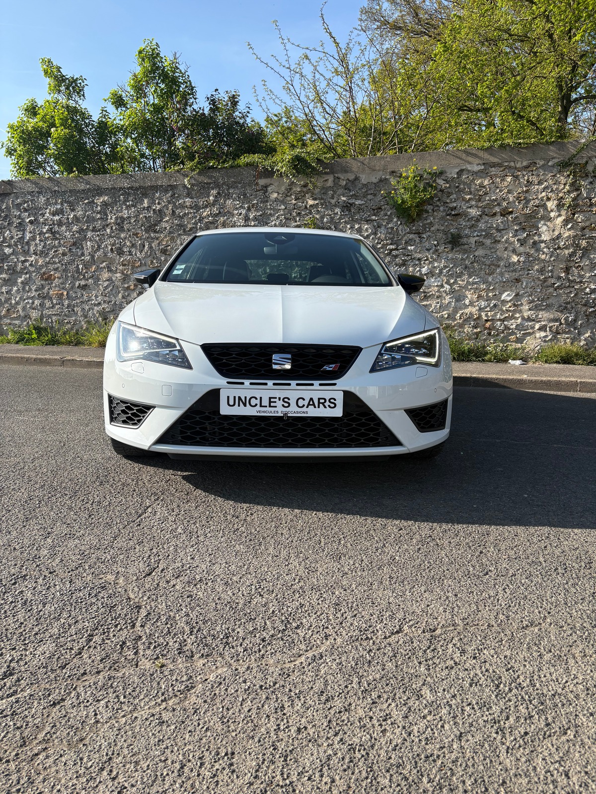 Seat Leon TSI cupra 290 DSG