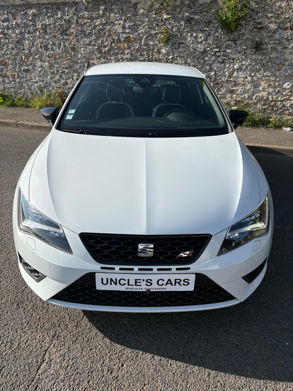 Seat Leon TSI cupra 290 DSG
