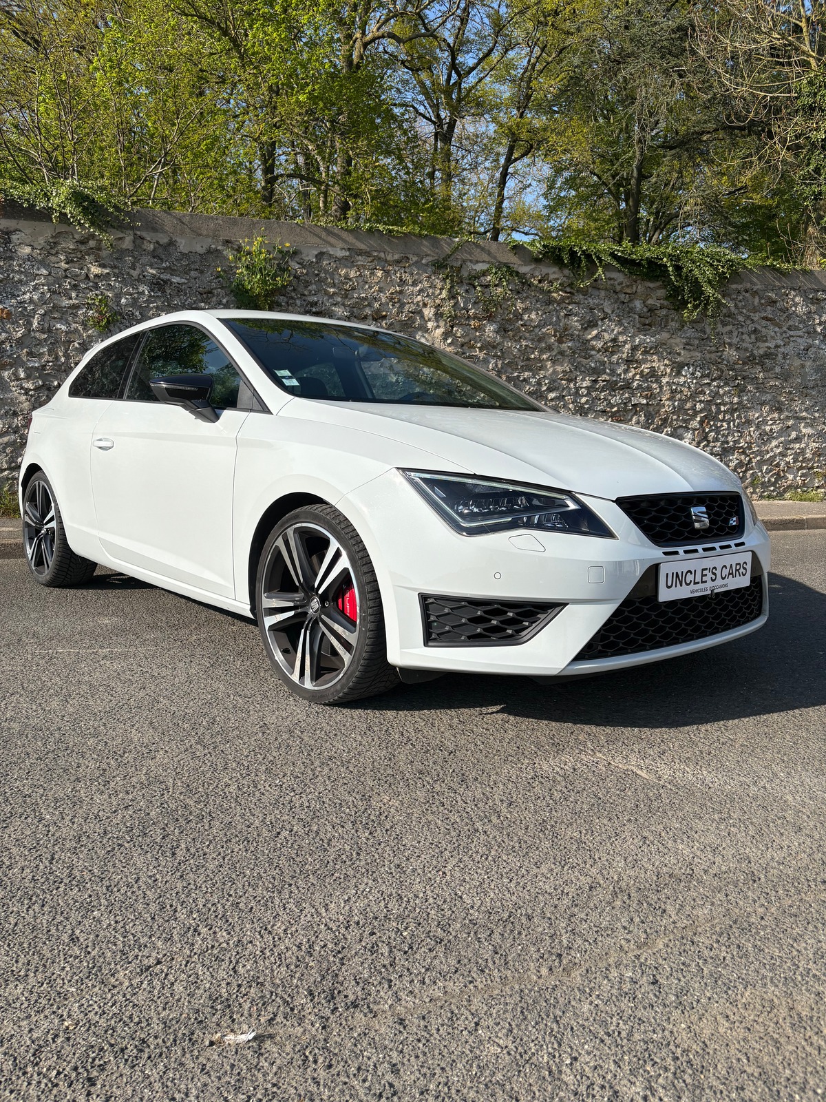 Seat Leon TSI cupra 290 DSG