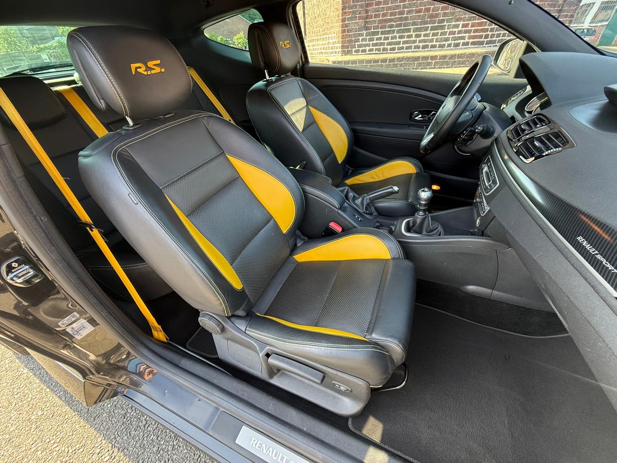 RENAULT Megane III RS CUP 250 / STEEVE, XENON, RS.MONITOR