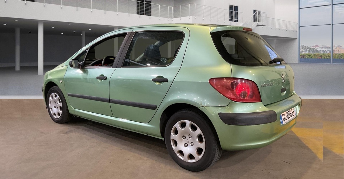 Peugeot 307 xr/xs