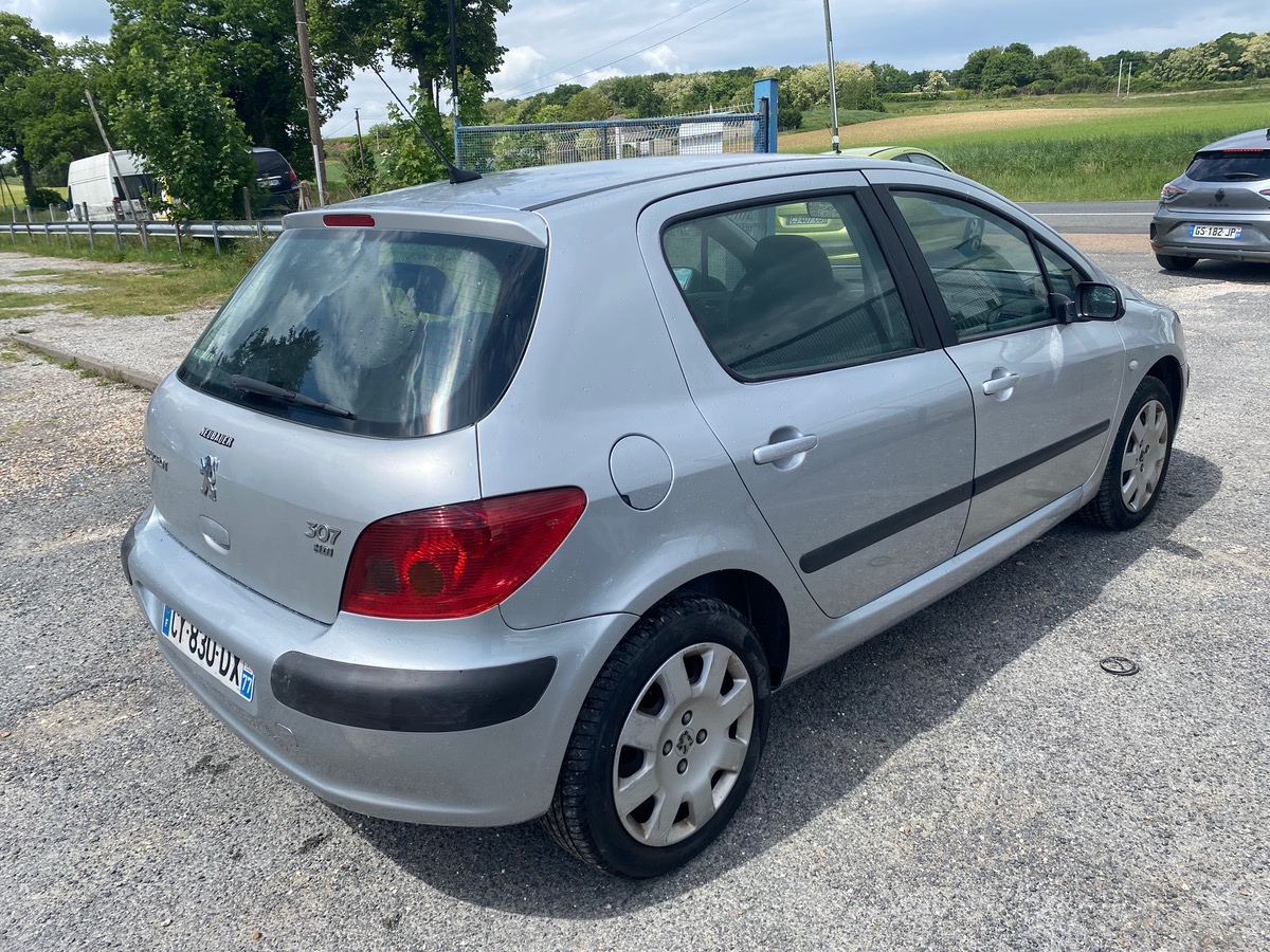 Peugeot 307 2.0 hdi 110cv premium 184000km