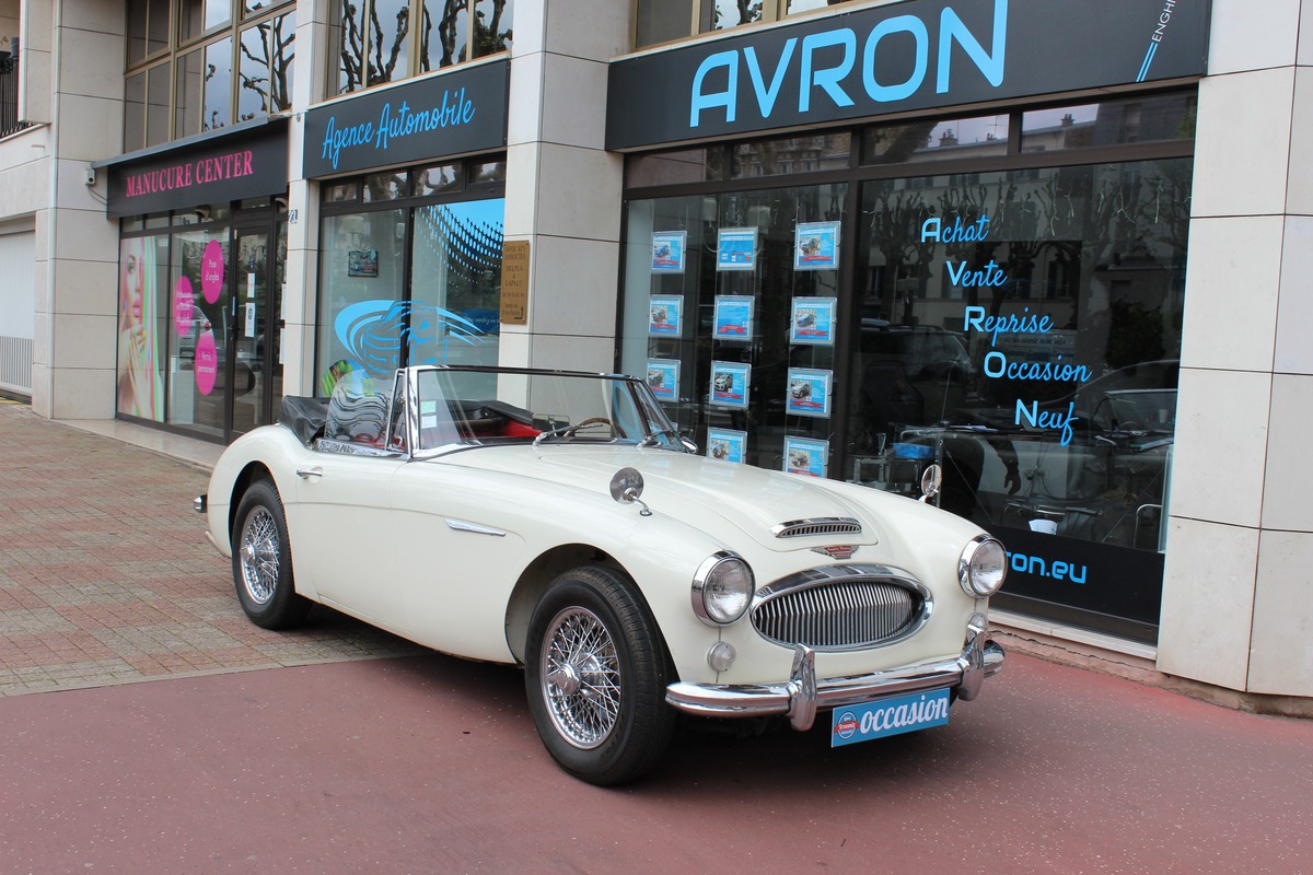 Austin Healey 3000 MK III BJ8 Collection  148