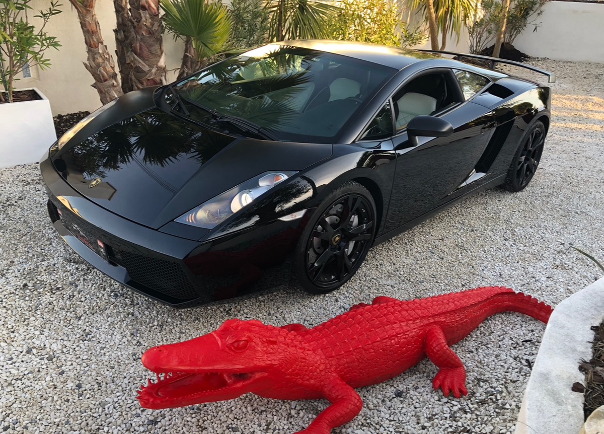 Murcielago Alligator Jogger