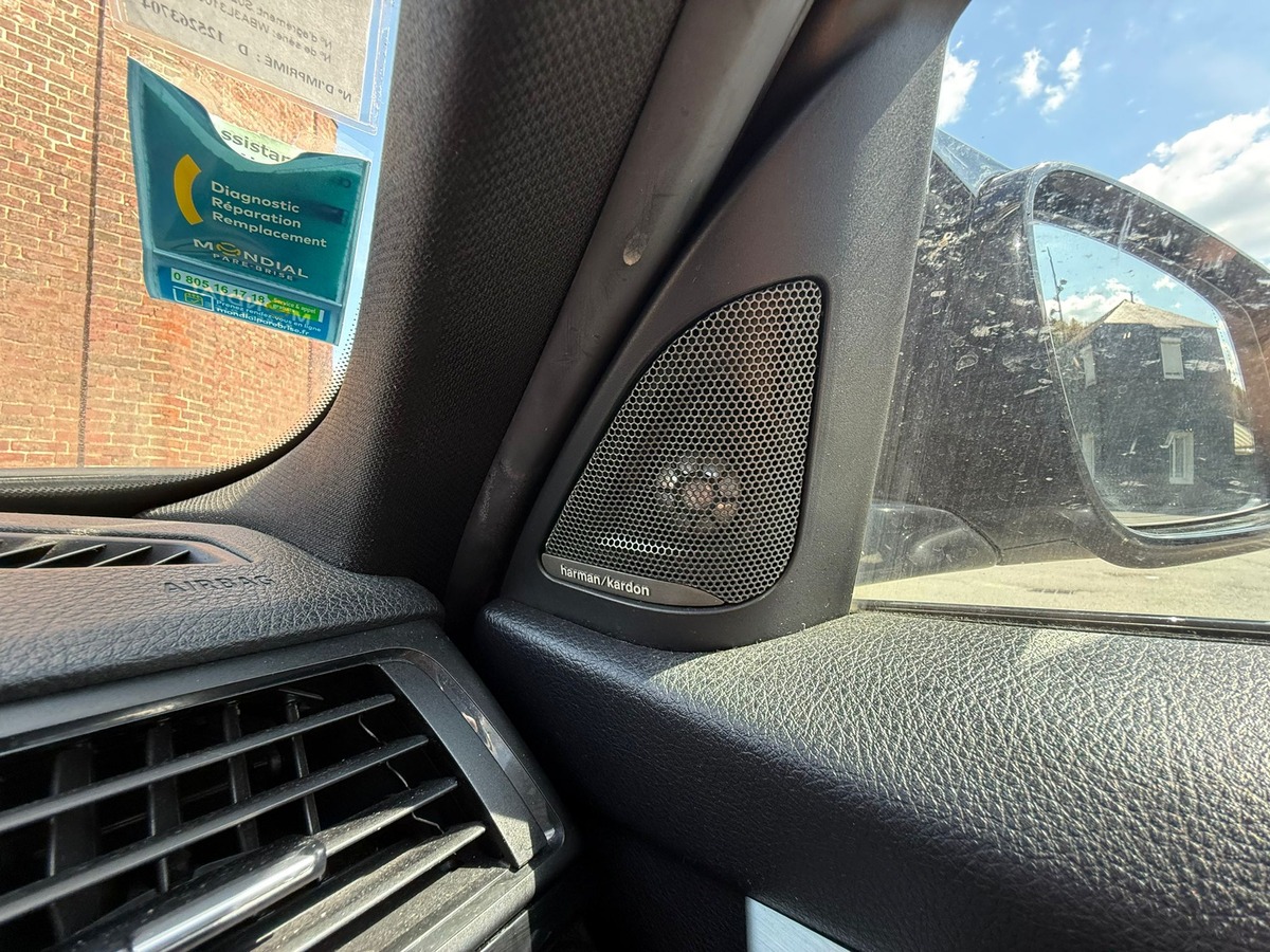 Bmw 330 D PACK M / HARMAN KARDON / VOLANT M