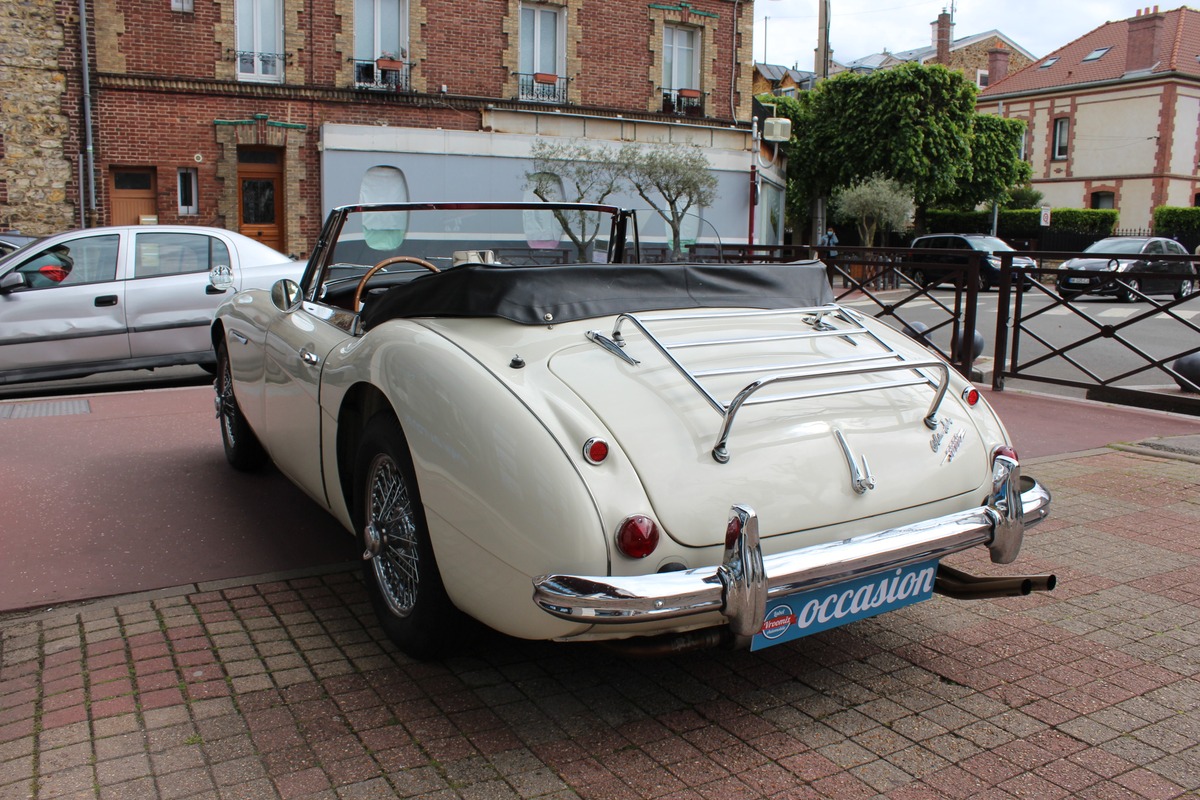 Austin Healey 3000 MK III BJ8 Collection  148