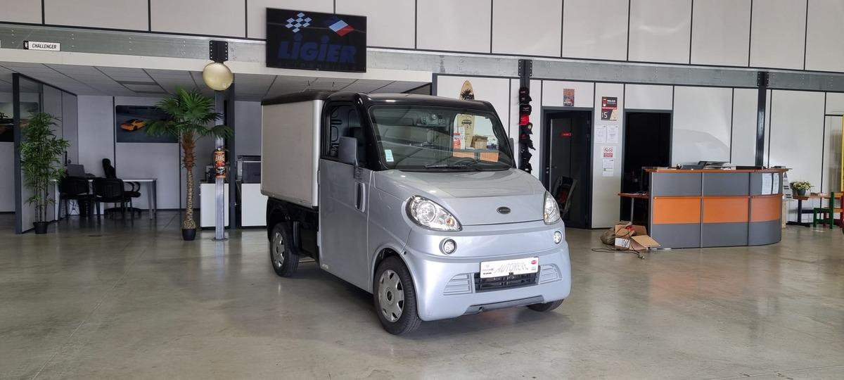 Microcar - FLEX
