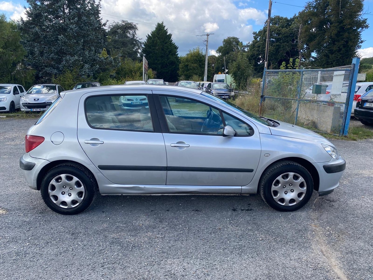 Peugeot 307 1.6 hdi 90cv phase 2 entretien factures à saisir 