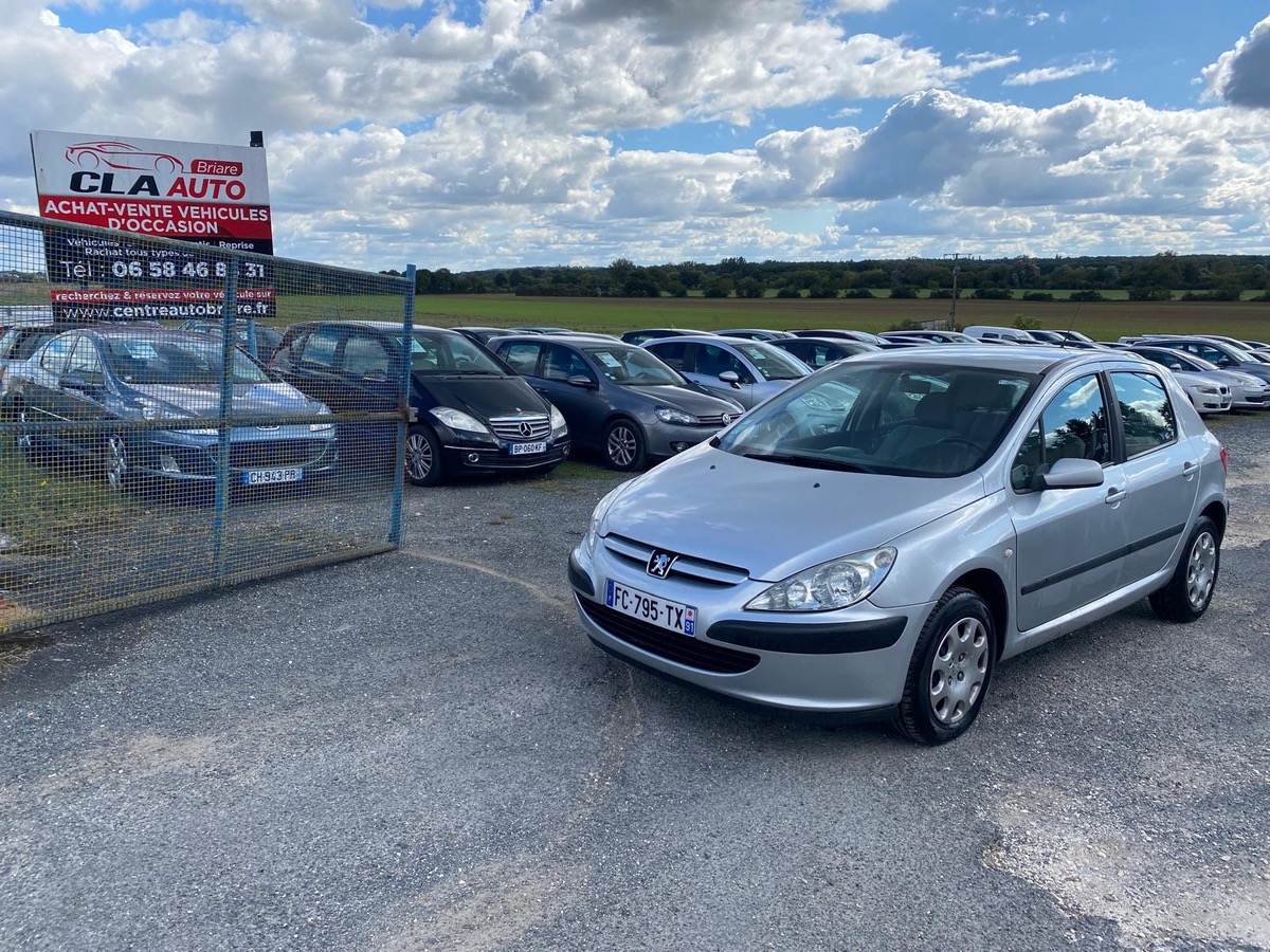 Peugeot 307 1.6 hdi 90cv phase 2 entretien factures à saisir 