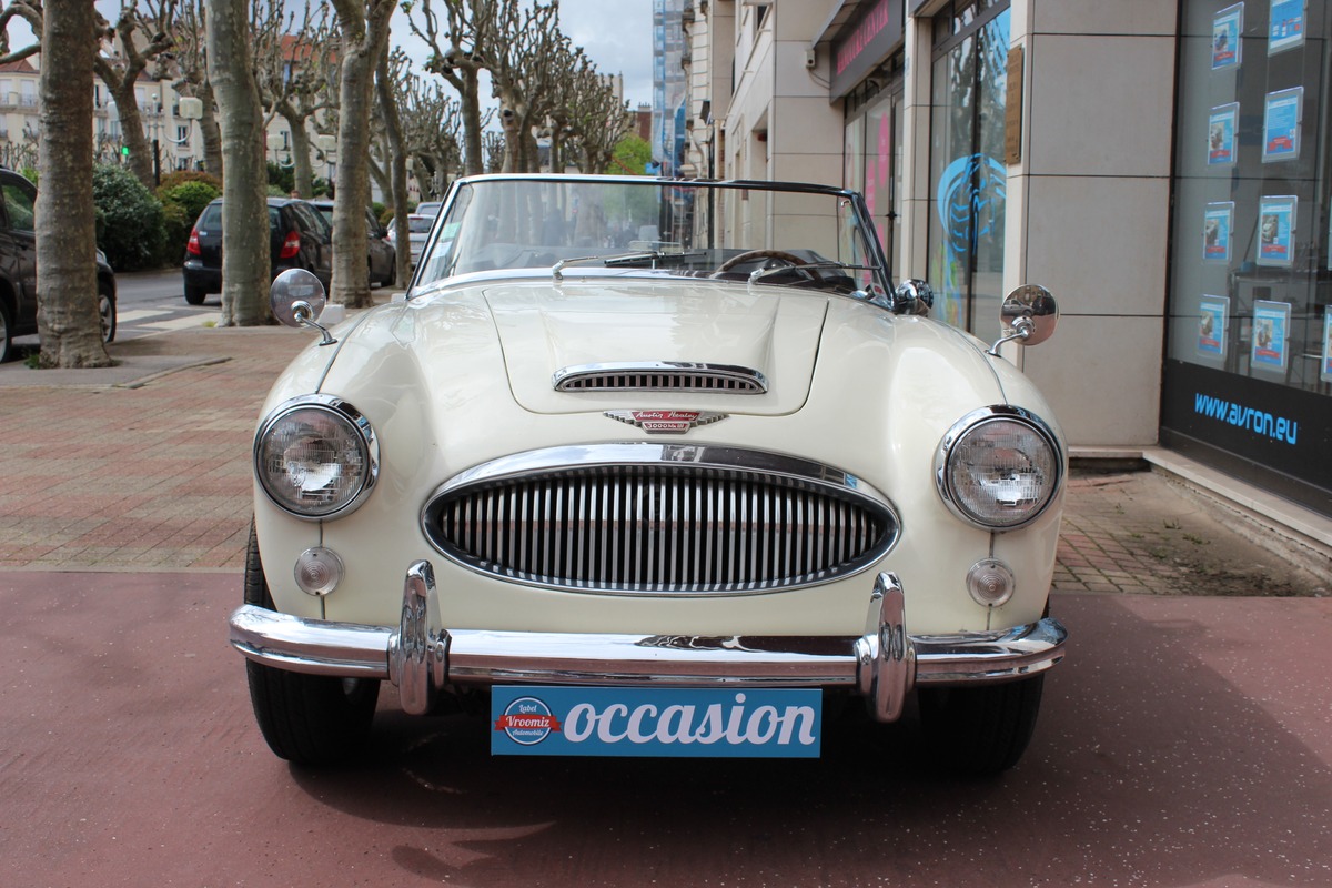 Austin Healey 3000 MK III BJ8 Collection  148