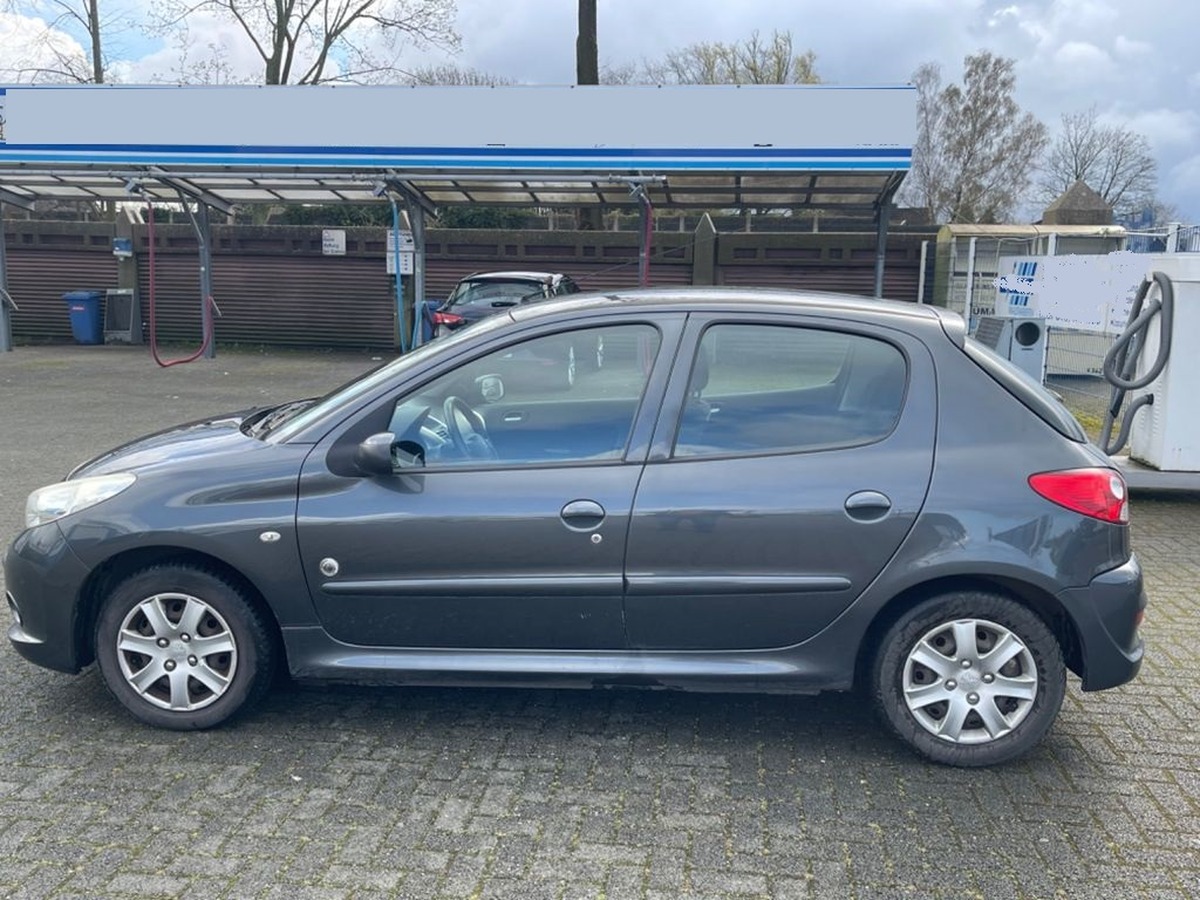 Peugeot 206 + 1.1 Bassis