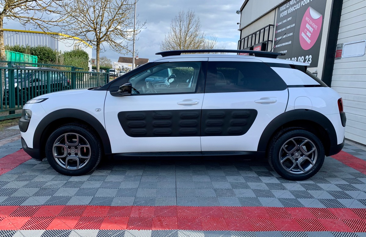 Citroën C4 Cactus 1.2 PureTech 110 Shine GPS/CAM