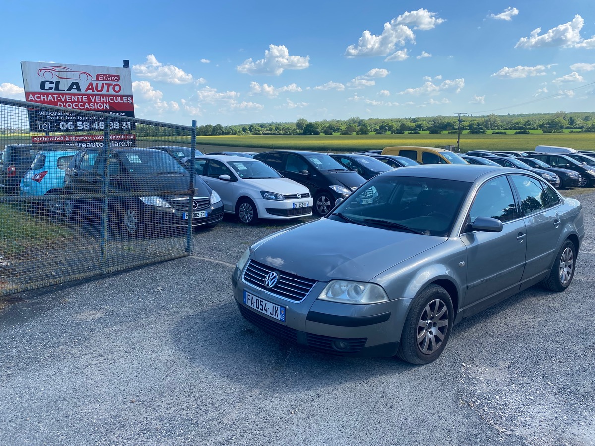 Volkswagen Passat 1.9 TDI 130CV