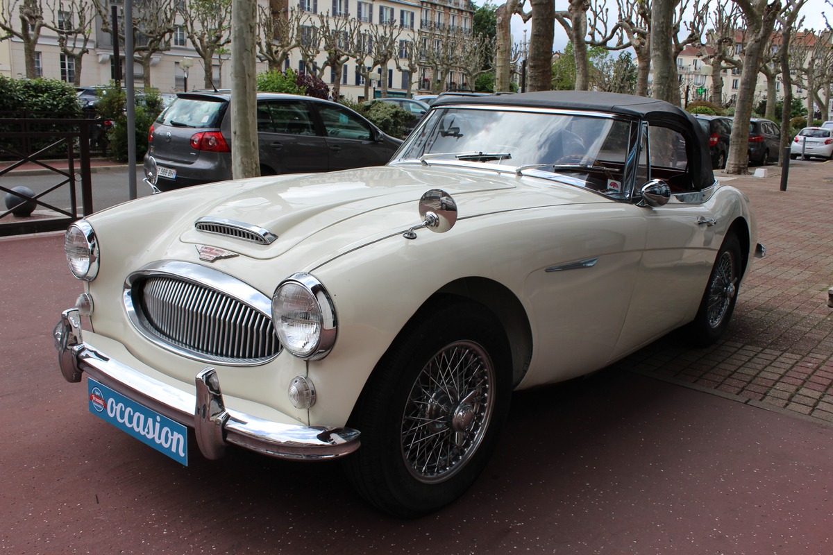 Austin Healey 3000 MK III BJ8 Collection  148