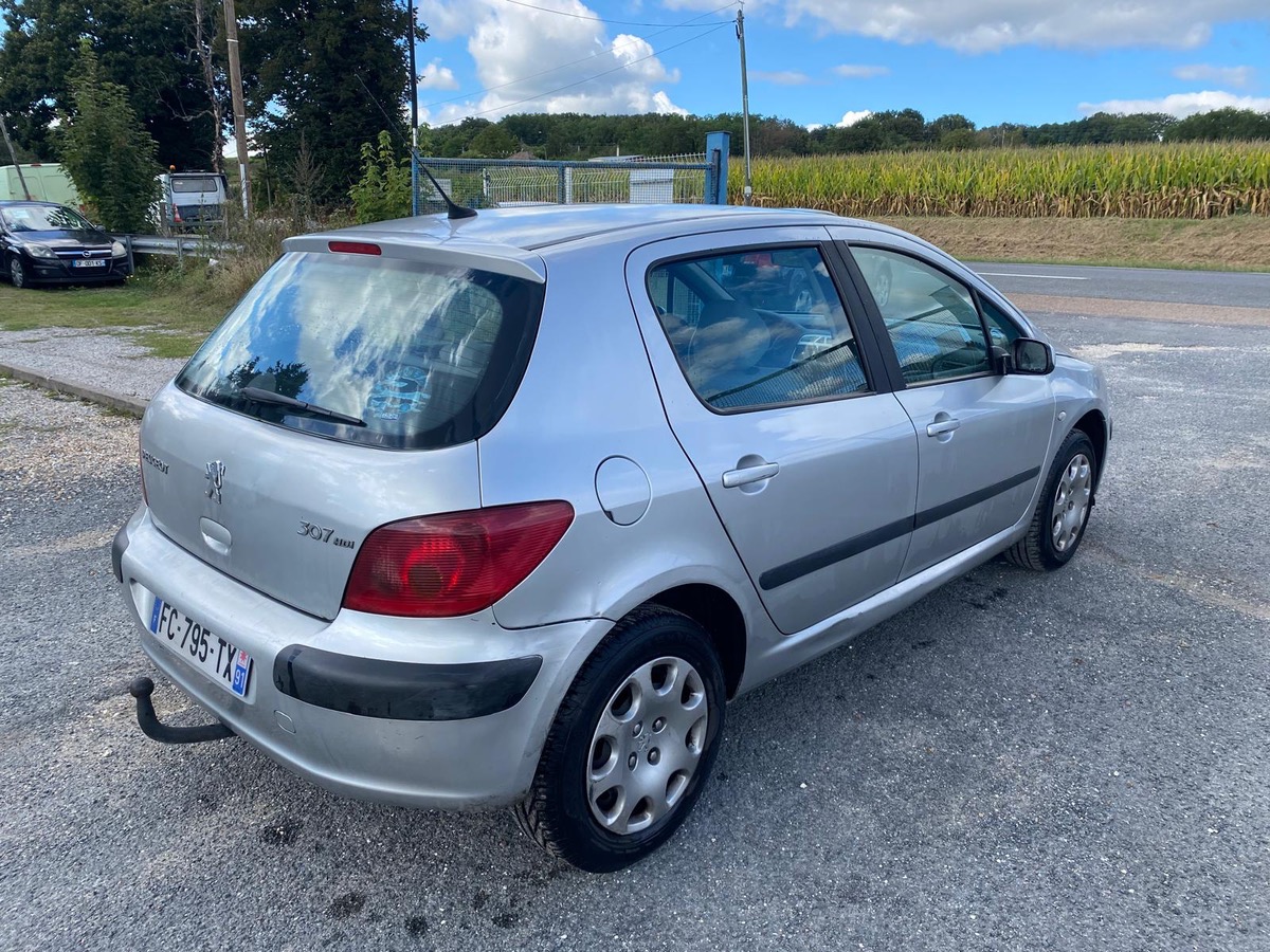 Peugeot 307 1.6 hdi 90cv phase 2 entretien factures à saisir 