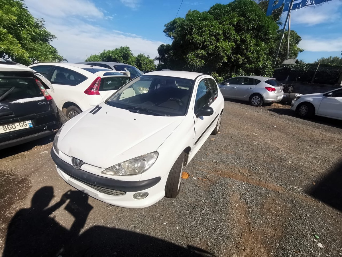 Peugeot 206 1.6i 16v