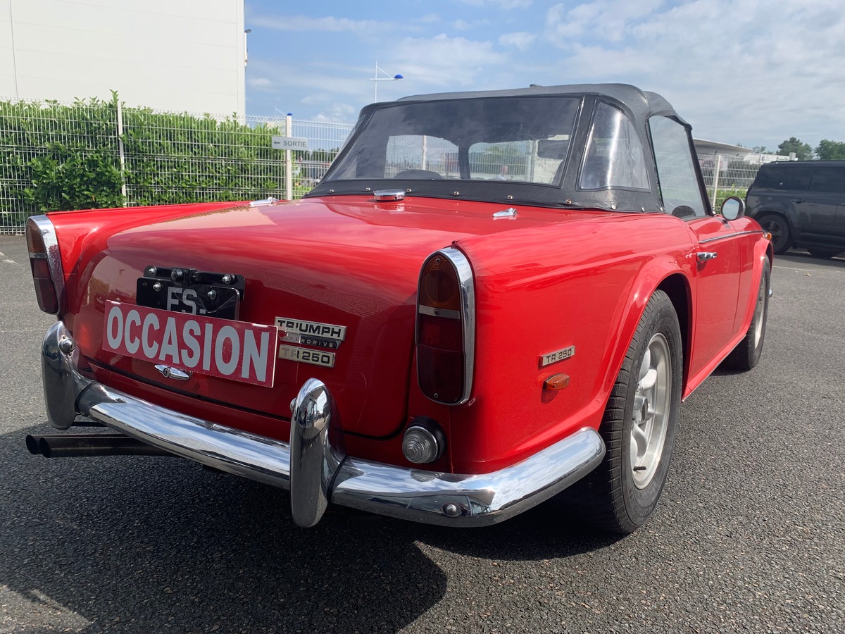 Triumph TR 250