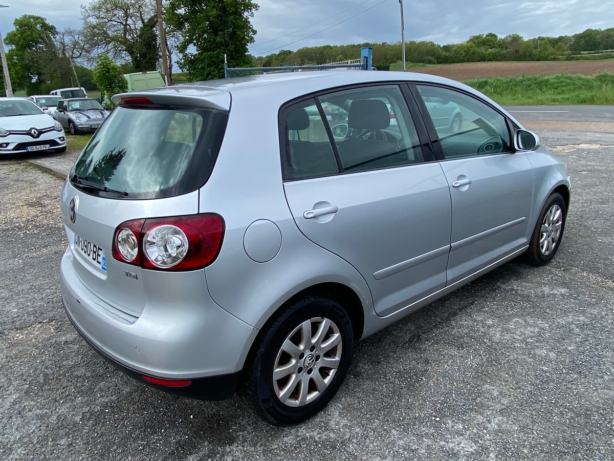 Volkswagen Golf Plus 1.9 tdi 105cv 219020km