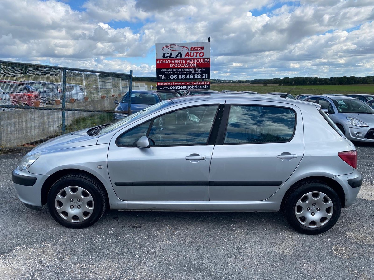 Peugeot 307 1.6 hdi 90cv phase 2 entretien factures à saisir 