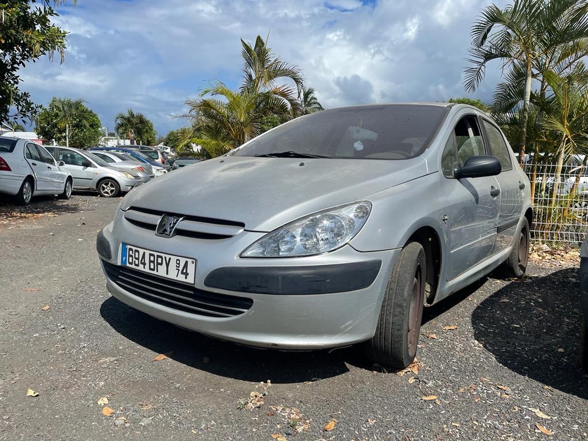 Peugeot 307 1.6i 16v