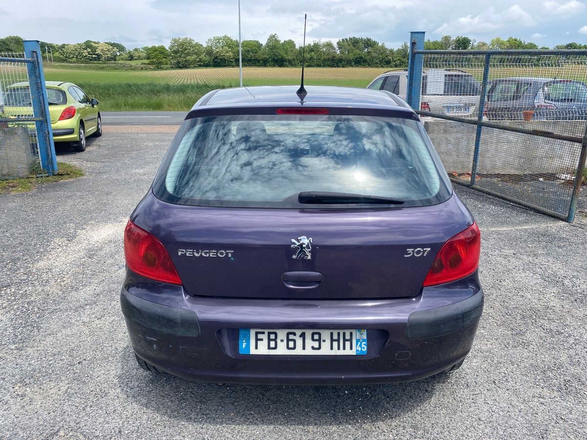 Peugeot 307 1.6i 110cv 99000km