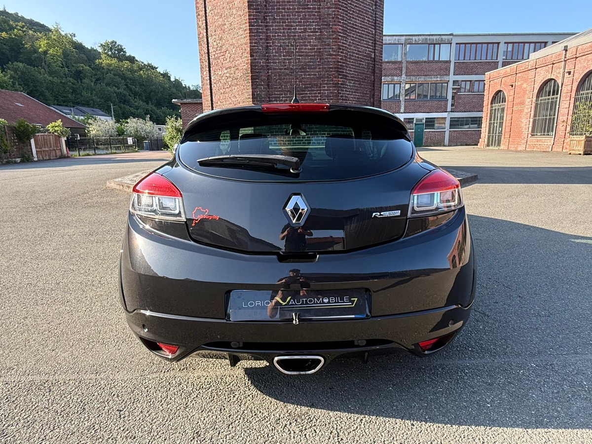 RENAULT Megane III RS CUP 250 / STEEVE, XENON, RS.MONITOR