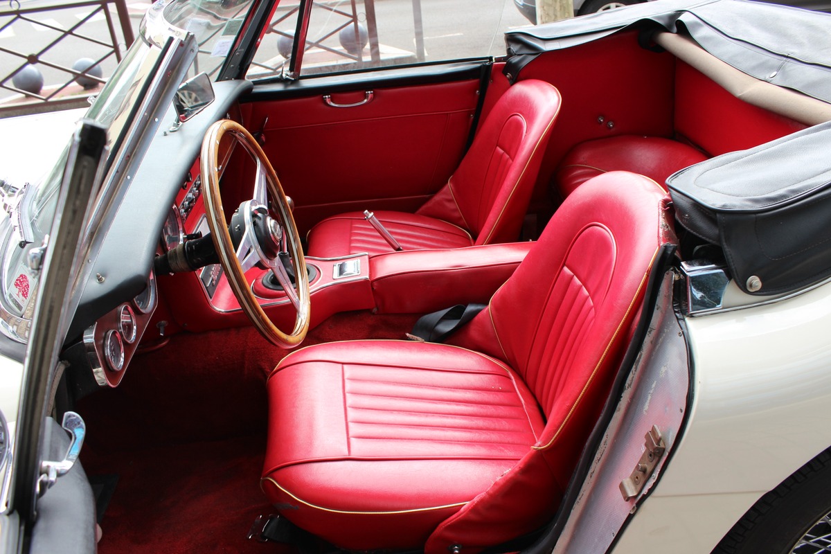 Austin Healey 3000 MK III BJ8 Collection  148