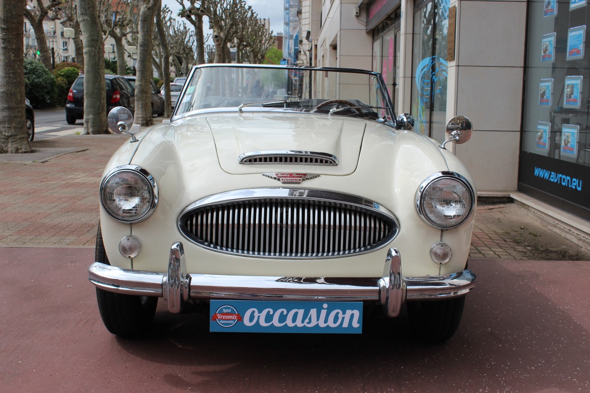 Austin Healey 3000 MK III BJ8 Collection  148